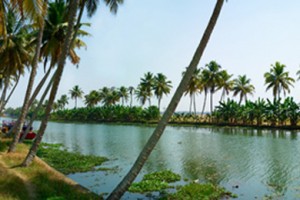 Kumarakom canal